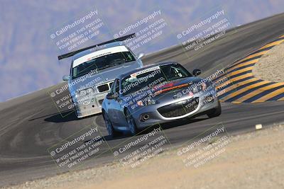 media/Oct-14-2023-Lucky Dog Racing (Sat) [[cef75db616]]/Turn 12 (345pm)/